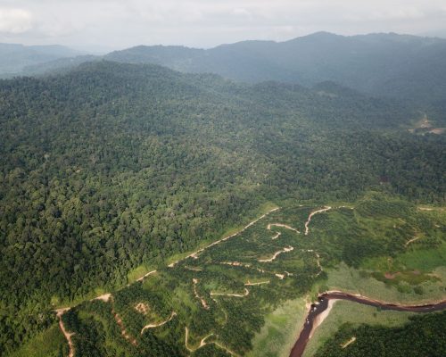 Sg. Serudong FR boundary adjacent to Oil Palm Plantation