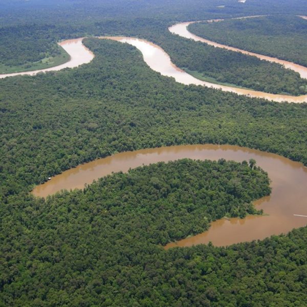 Fresh-water Swamp Forest