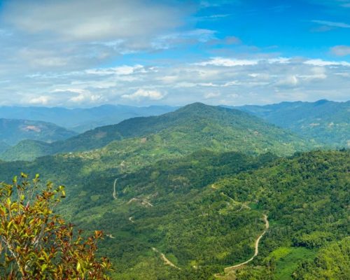 The view facing southwest of Balingkadus FR