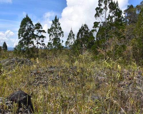 Bukit Hampuan